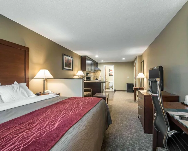 Efficiency, King Bed، Comfort Inn Saugerties 3/4