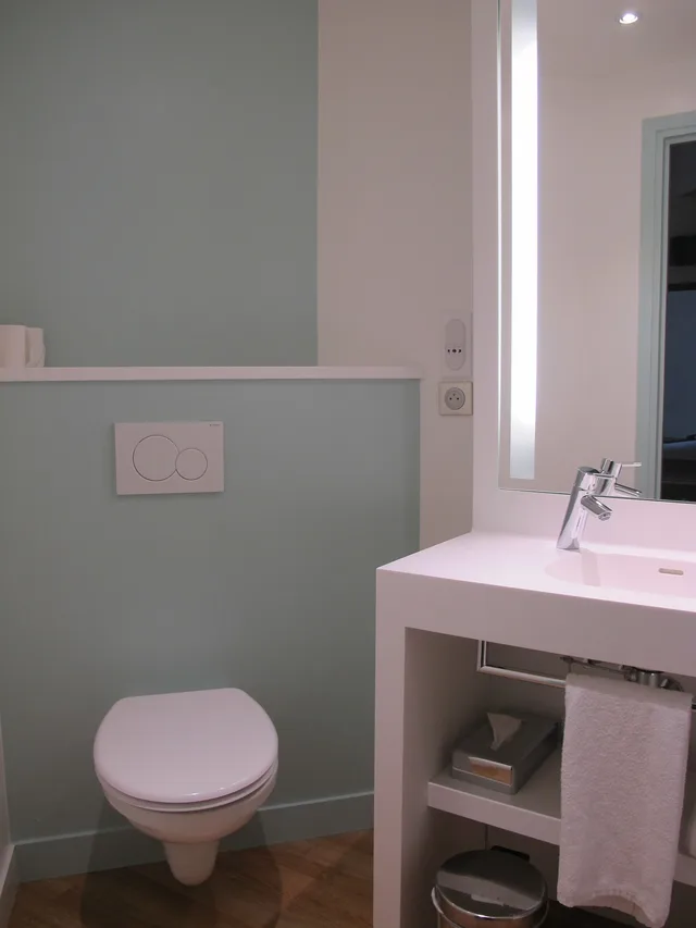 غرفة كلاسيكية بسريرين منفصلين، Hotel Mercure Lyon Centre Brotteaux 9/9