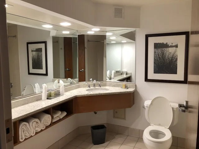 غرفة ديلوكس بسرير كينج لذوي الإعاقة، Wyndham Garden Buffalo Downtown 8/10
