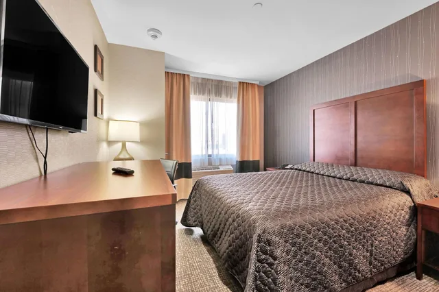 غرفة ديلوكس مفردة للمدخنين، Hotel Pergola JFK Airport 1/1