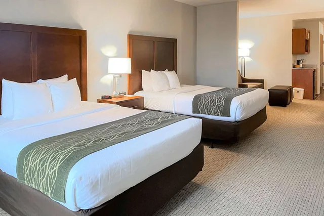 جناح بسريرين كوين لذوي الإعاقة، Comfort Inn & Suites Rogersville 2/5