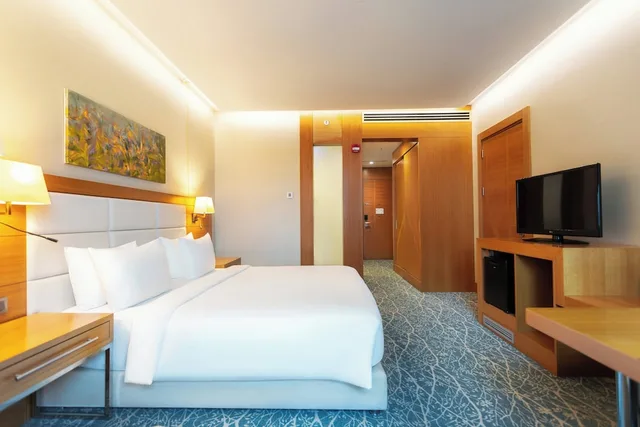 غرفة قياسية بسرير كينج لذوي الإعاقة، Holiday Inn Baku 2/10