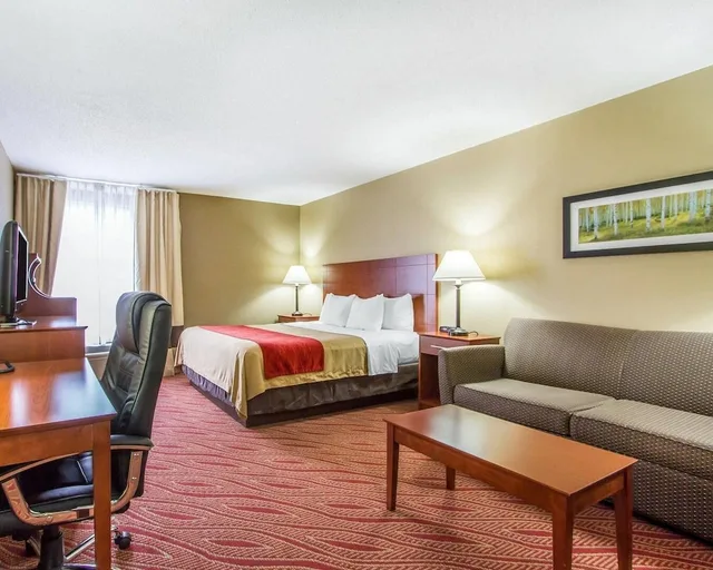 غرفة قياسية بسرير كينج، Comfort Inn Poplar Bluff North 3/3