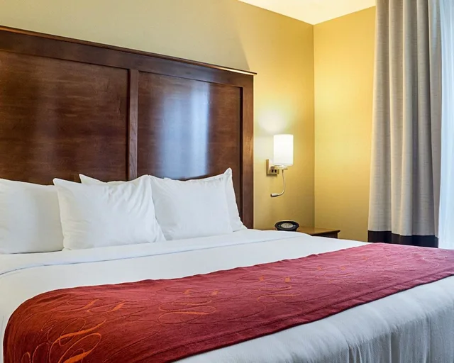 جناح بسرير كينج مع أريكة لذوي الإعاقة، Comfort Suites Fargo Medical Center 1/2