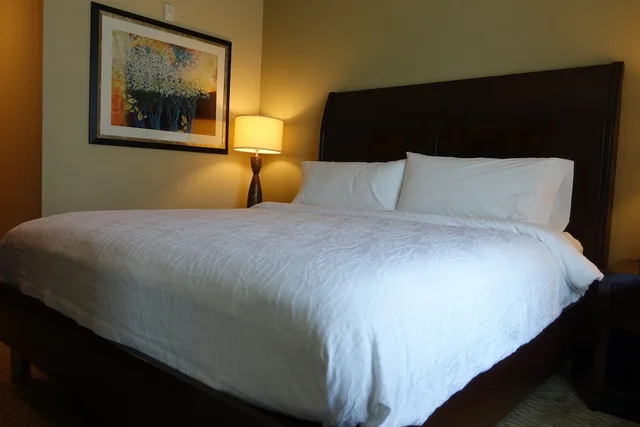 Evolution, King Bed، Hilton Garden Inn Houston/Pearland 4/6