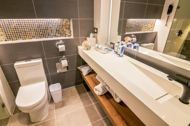 Superior, Double Bed, GHL Hotel Porton Medellin 6/7