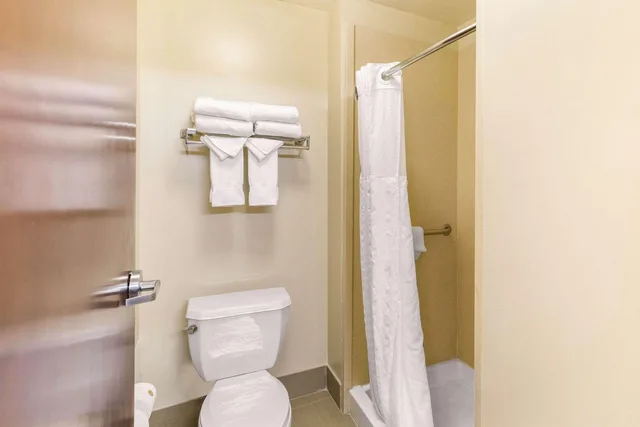 جناح بسرير كينج لذوي الإعاقة، Comfort Suites Elkridge Columbia Gateway 3/3