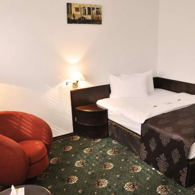 Standard, Single, Best Western Central Hotel 6/10