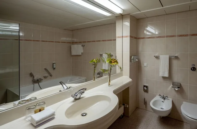 استوديو، MARITIM HOTEL MAGDEBURG 3/3