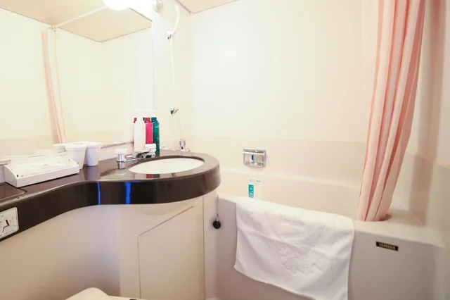 غرفة بسرير نصف مزدوج، Apa Hotel Sagamihara-Hashimoto-Ekimae 7/15