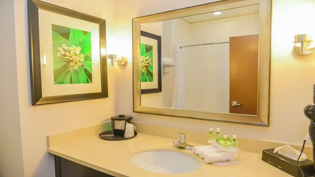 جناح بسريرين مزدوجين لذوي الإعاقة، Holiday Inn Express Suites Cuero 2/3