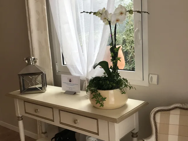 جناح بانورامي بسرير كينج، Villa Kilauea B&B 7/7