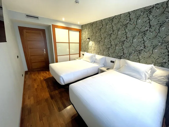 Family, Suite, Apartment, San Fermin Suites 2/4