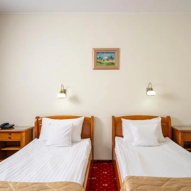 Room, Twin Beds, Palace View، Hotel Moldova 2/10