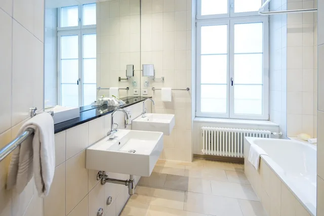 غرفة سوبيريور بسرير مزدوج، Hotel Schweizerhof Basel 7/7