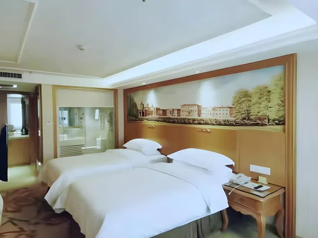 غرفة سوبيريور بسريرين منفصلين، Vienna Hotel (Xi'an Bell Tower) 1/1