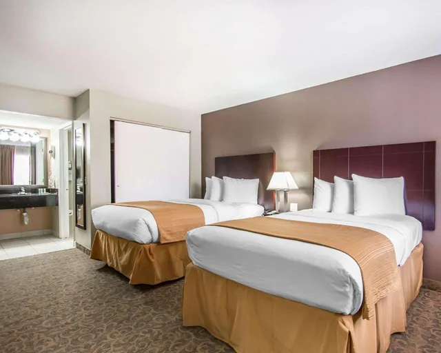 Upgrade, 2 Queen Beds، Quality Inn Suites By the Parks 2/2