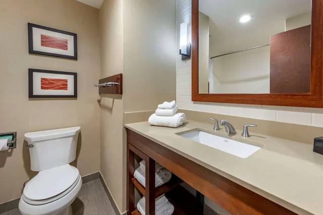 جناح بسرير كينج مع أريكة، Comfort Inn & Suites Pittsburgh South 2/3