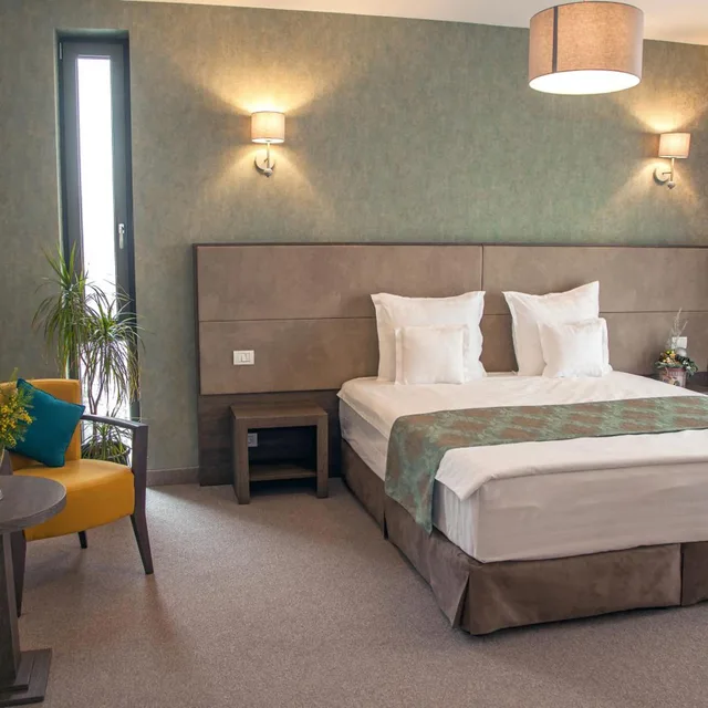 غرفة قياسية بسرير مزدوج، Victoria Bulevard Hotel 7/10
