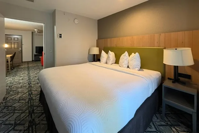جناح ديلوكس بسرير كينج بغرفة نوم واحدة مع أريكة، Country Inn & Suites by Radisson, Novi, MI 3/10