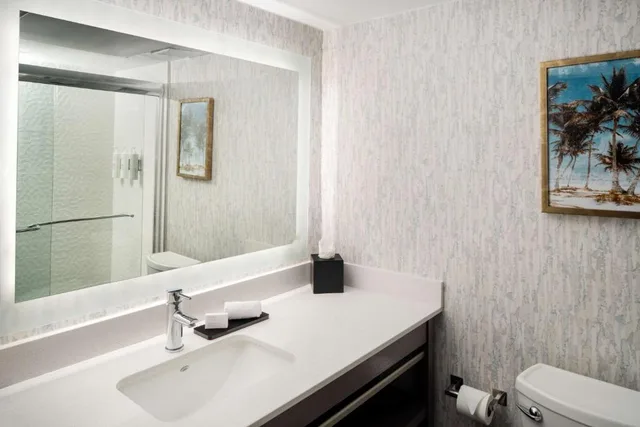 Atrium, Suite, King Bed, Lake View، Embassy Suites by Hilton Orlando North 3/3