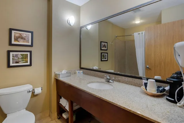 جناح بسريرين كوين مع أريكة، Comfort Suites Anchorage International Airport 5/6