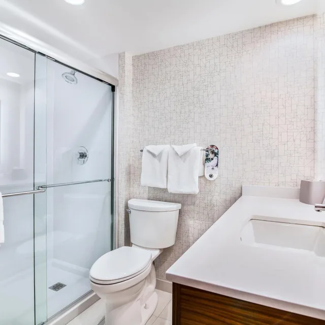 Essential, King Bed, Top Floor، Holiday Inn Express Suites Langley 3/3