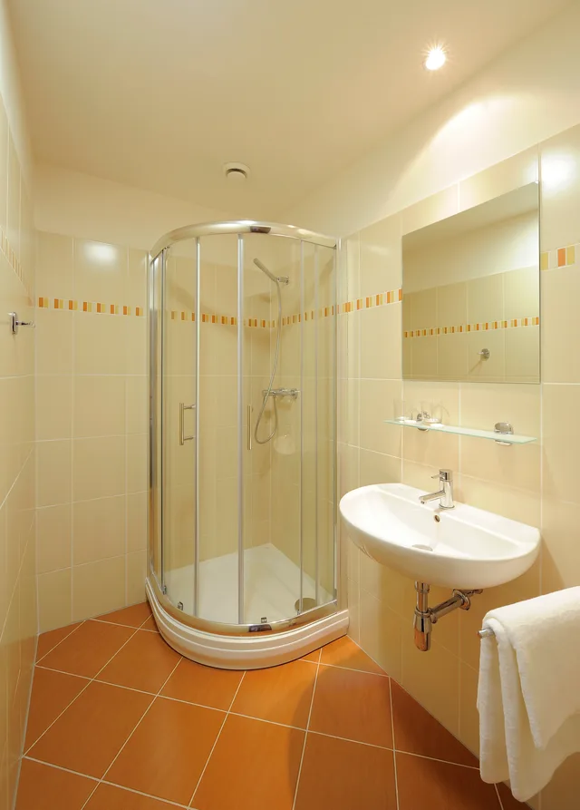 Standard, Double or Twin Bed, Congress and Wellness Hotel Olsanka Superior 2/2