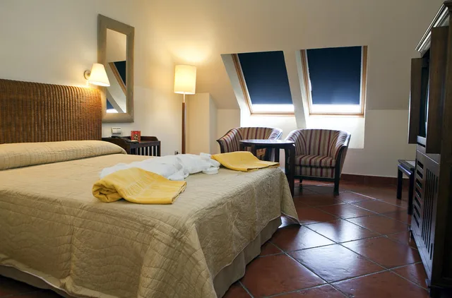 غرفة اقتصادية مفردة بسرير مزدوج، Puerto Antilla Grand Hotel 1/5