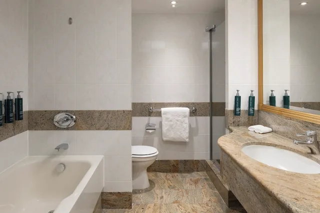 Renovated, Plus, Executive, Family, King Bed، Hilton Paris Charles De Gaulle Airport 5/7