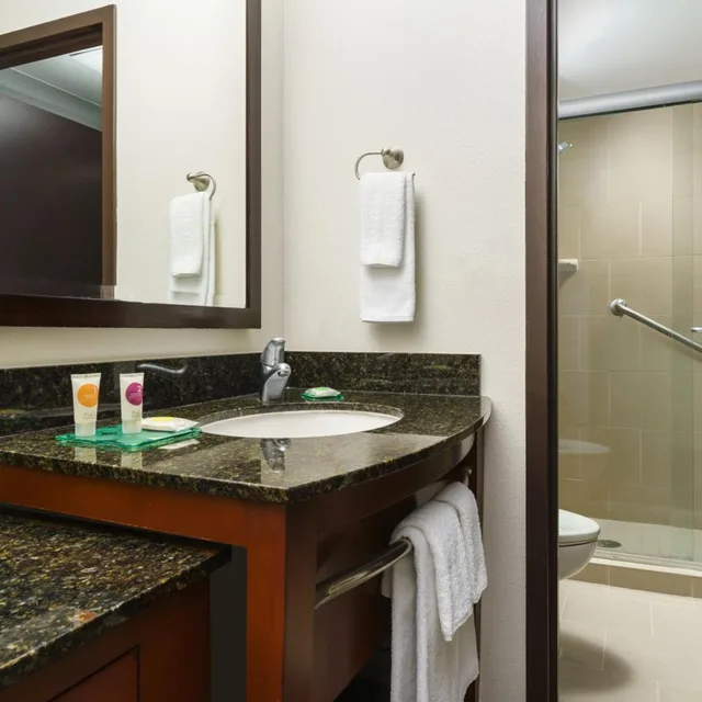 غرفة بسرير كينج مع أريكة في طابق مرتفع، Hyatt Place Fort Lauderdale Airport - South & Cruise Port 1/1
