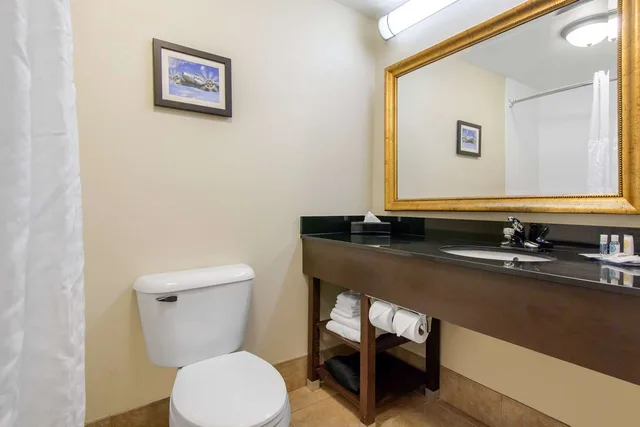 Efficiency, Business, Suite, King Bed، Comfort Inn And Suites Norman 3/3