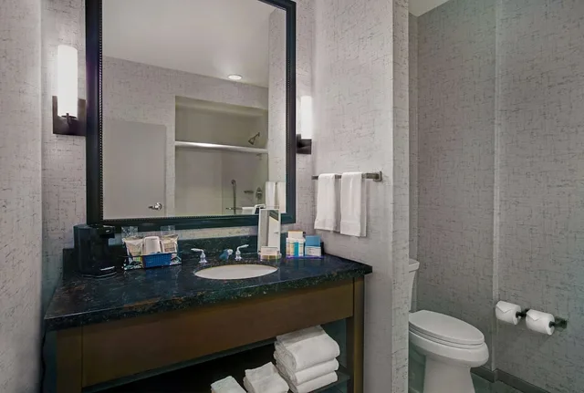 غرفة قياسية بسرير كينج مع أريكة، Hampton Inn & Suites Austin At The University / Capitol 10/10