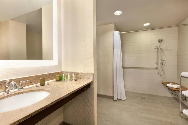 جناح بسرير كينج بغرفة نوم واحدة لذوي الإعاقة، Doubletree By Hilton Atlanta Northlake 2/2