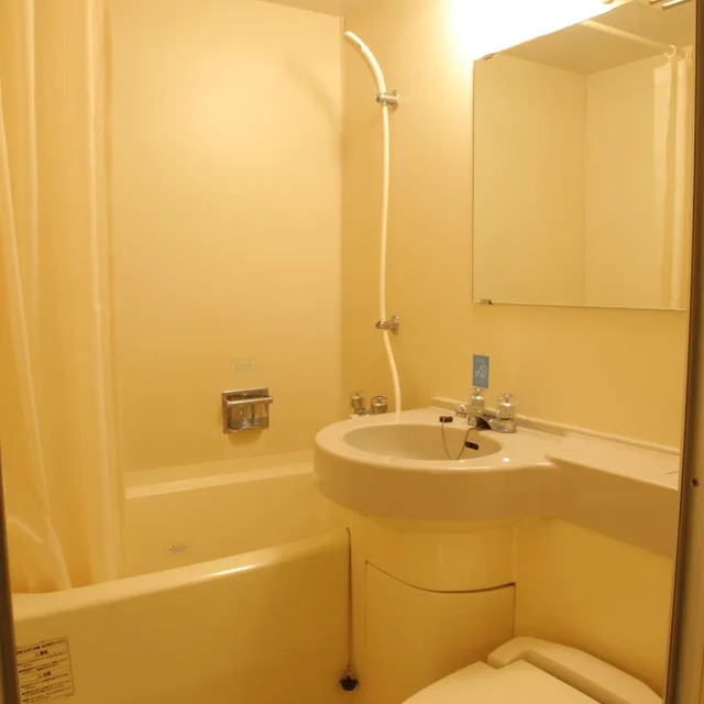 Deluxe, Single, Smoking, Smile Hotel Fukuoka Okawa 5/6