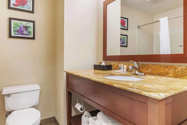 جناح بسرير كينج مع أريكة، Comfort Inn & Suites Temple - Medical Center 7/7