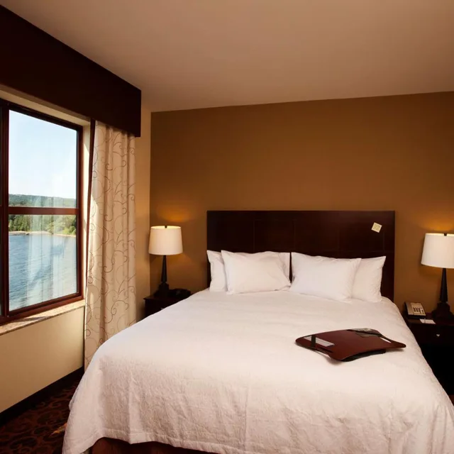 جناح بسرير كينج بغرفة نوم واحدة مع أريكة، Hampton Inn Marquette/Waterfront 1/2