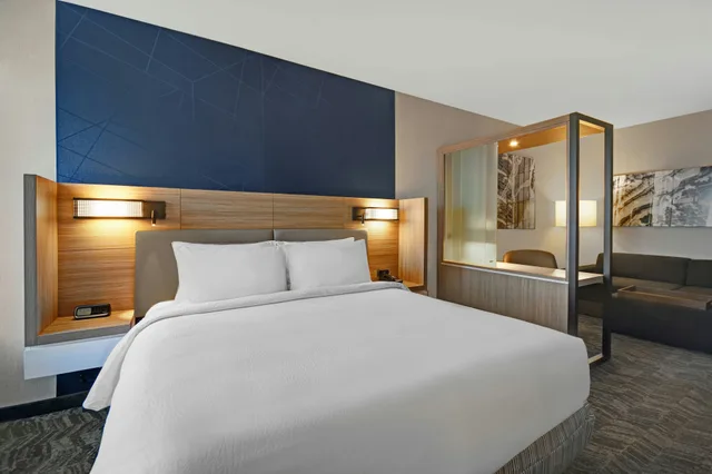 جناح، SpringHill Suites by Marriott St. Paul Arden Hills 1/7