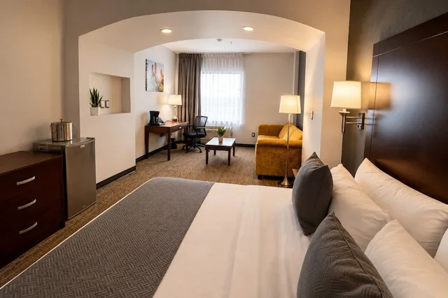 جناح جونيور بسرير كينج، La Quinta by Wyndham Reynosa 9/9
