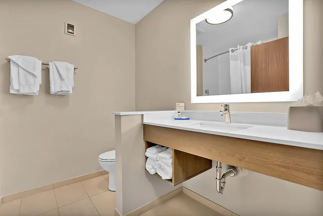 Standard, King Bed, Accessible, Holiday Inn Express Jacksonville South Bartram Prk 6/10