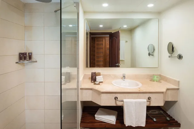 جناح بريميوم جونيور بسريرين مزدوجين بإطلالة على البحر بجاكوزي، Impressive Premium Punta Cana 5/6