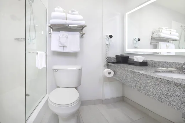 Upgrade, Efficiency, Suite, Multiple Beds، Quality Inn & Suites Winnipeg - Pembina Highway 4/4