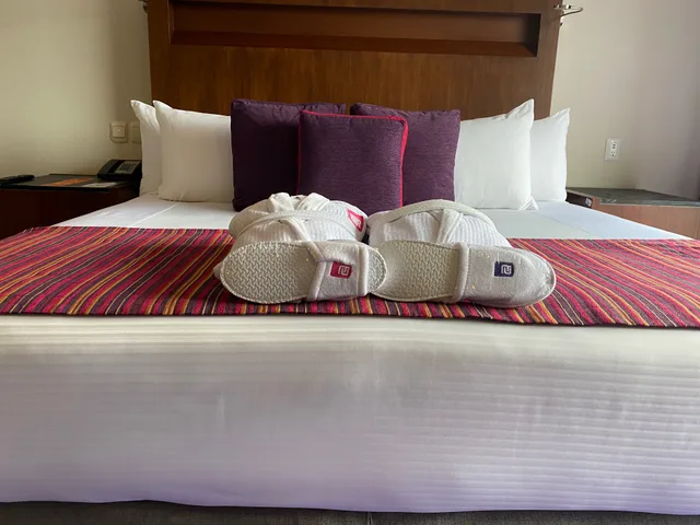 غرفة قياسية مفردة، Camino Real Pedregal 6/8