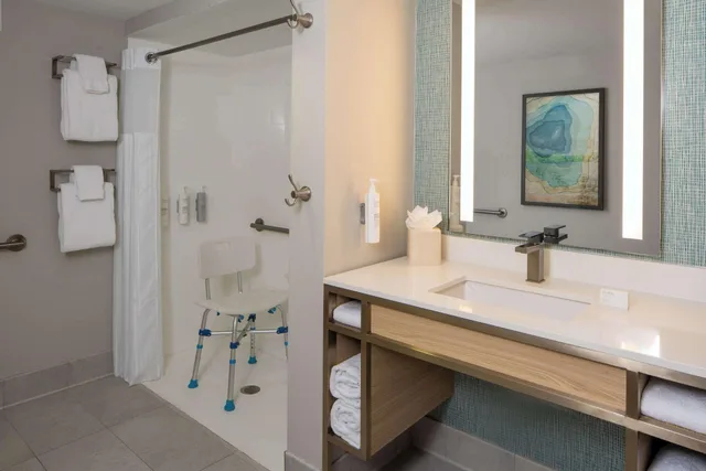 غرفة لذوي الإعاقة، Hilton Garden Inn Orlando Airport 3/3