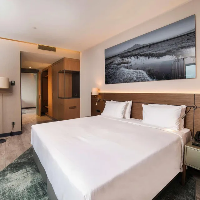 جناح جونيور بشرفة، Radisson Blu Hotel Mount Erciyes 8/10