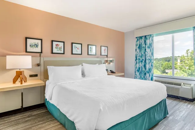 1 King Bed Deluxe with Sofabed, Hilton Garden Inn Atlanta Ne Gwinnett 1/7