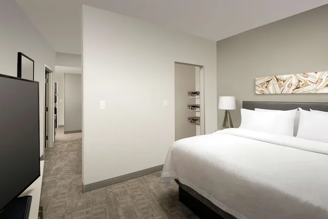 جناح بسريرين كينج بغرفتي نوم، Hilton Garden Inn San Antonio Airport South 1/3