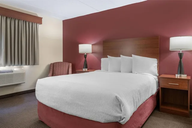 غرفة قياسية بسرير كوين لذوي الإعاقة، SureStay Plus Hotel by Best Western Litchfield 4/6