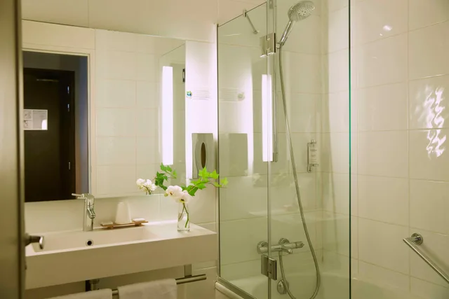 غرفة بسرير مزدوج، Best Western Plus Hotel d Europe et d Angleterre, Macon 2/3