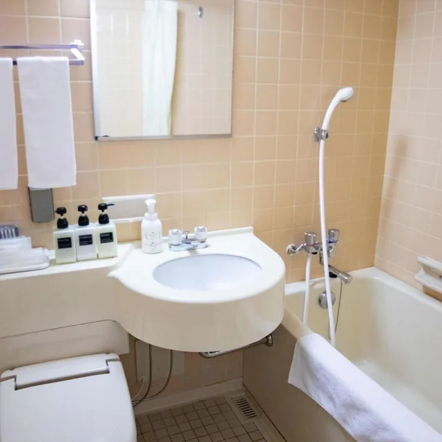 غرفة بسريرين منفصلين، HOTEL CONTINENTAL 10/10